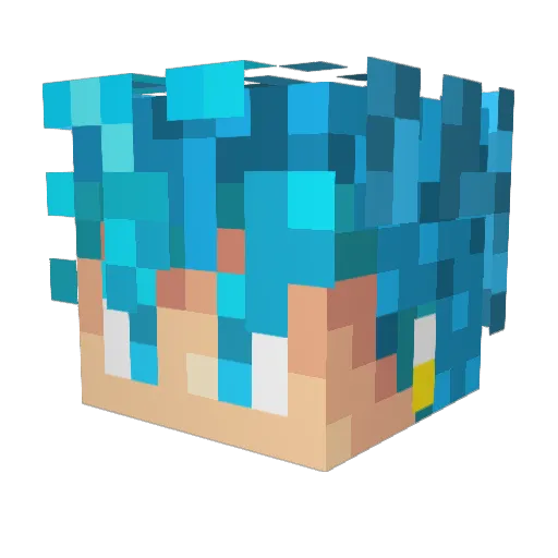 Taco_Muncher646 Minecraft avatar head, 3D render