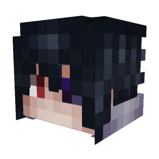Taco_Ninja54 Minecraft avatar head, 3D render