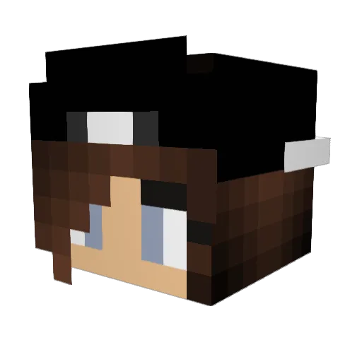 Taco_bella Minecraft avatar head, 3D render
