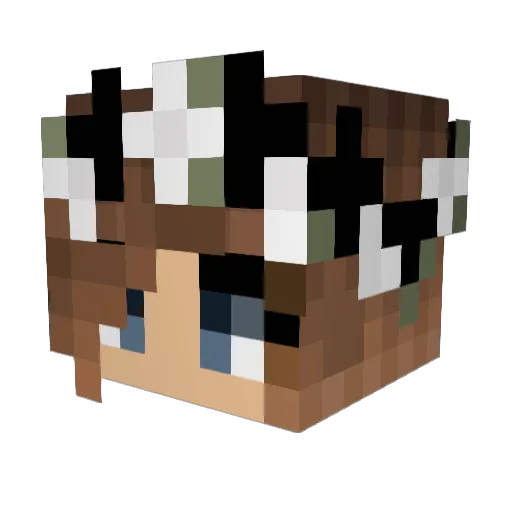TacobisJacob Minecraft avatar head, 3D render