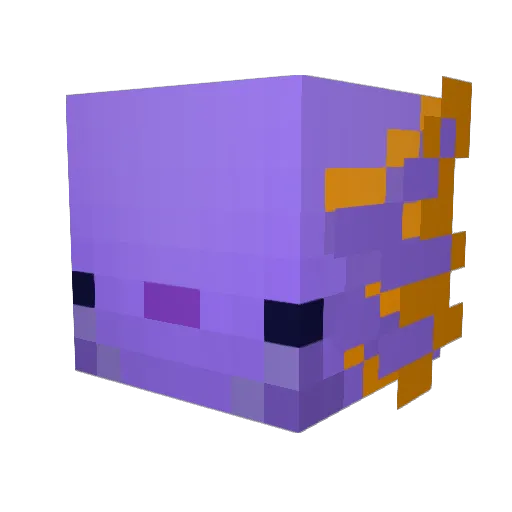 Tacobloook Minecraft avatar head, 3D render