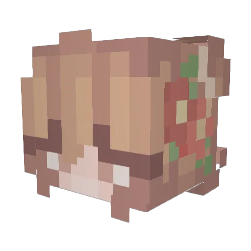 Tacocat119248 Minecraft avatar head, 3D render