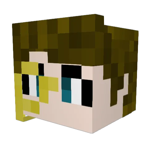 Tacocat4125 Minecraft avatar head, 3D render