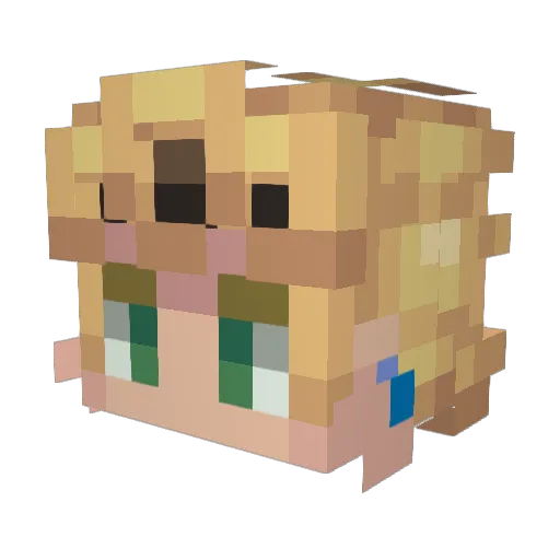 Tacocat67 Minecraft avatar head, 3D render