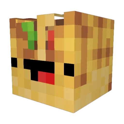 Tacocat91 Minecraft avatar head, 3D render