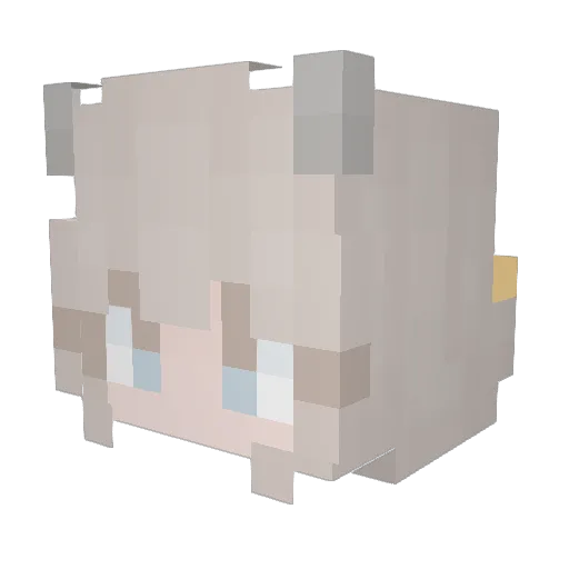 TacocatoR Minecraft avatar head, 3D render