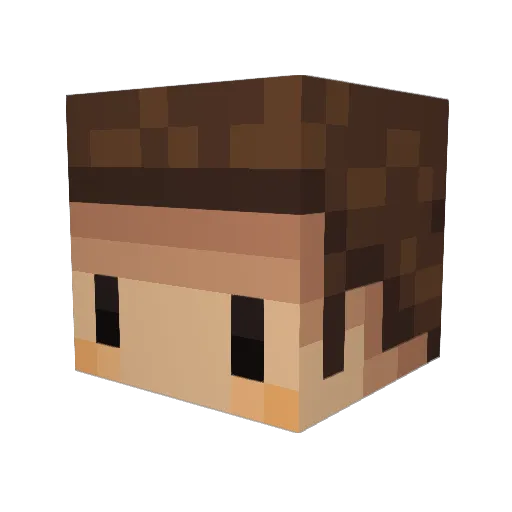 Tacoce Minecraft avatar head, 3D render