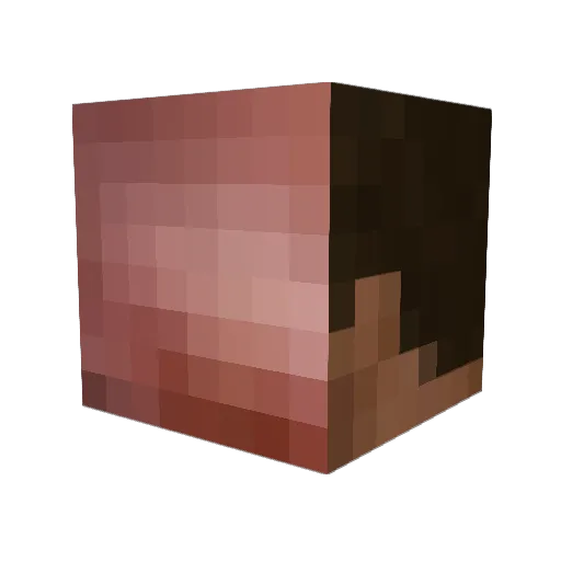 Tacoduck3000 Minecraft avatar head, 3D render