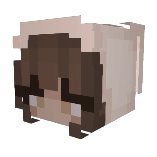 Tacohoe Minecraft avatar head, 3D render