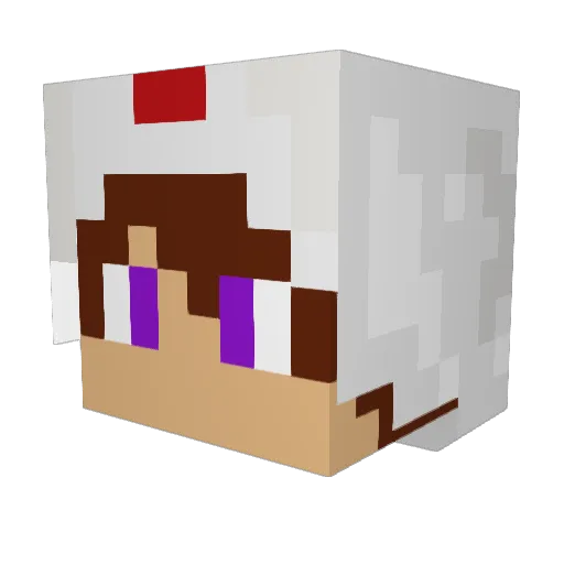 Tacomon44 Minecraft avatar head, 3D render