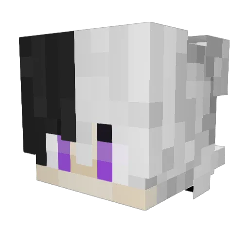 TacooSauce Minecraft avatar head, 3D render