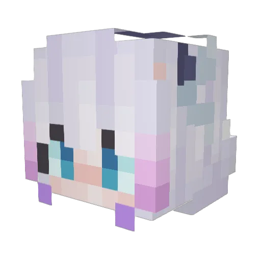 Tacos16x20 Minecraft avatar head, 3D render