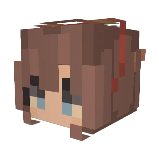 Tacos4Monkeys Minecraft avatar head, 3D render