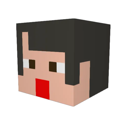 Tacoyaki92 Minecraft avatar head, 3D render