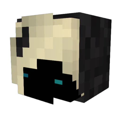 TacticalDOC Minecraft avatar head, 3D render
