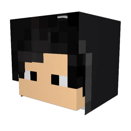 Tactical_V5 Minecraft avatar head, 3D render