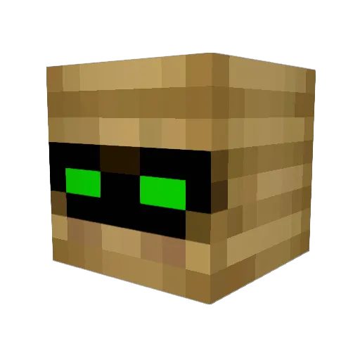 TactileTulip655 Minecraft avatar head, 3D render