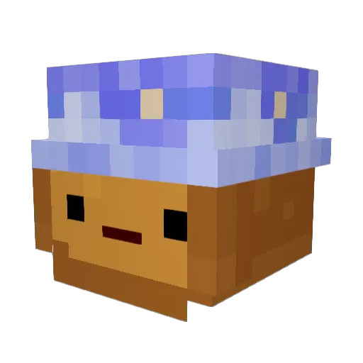 TactualList8675 Minecraft avatar head, 3D render