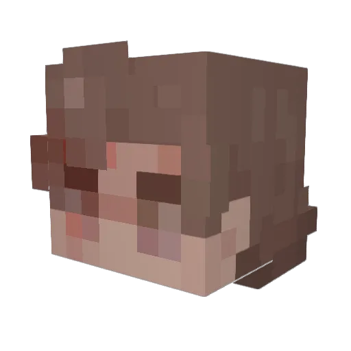 Tad_Strange04 Minecraft avatar head, 3D render