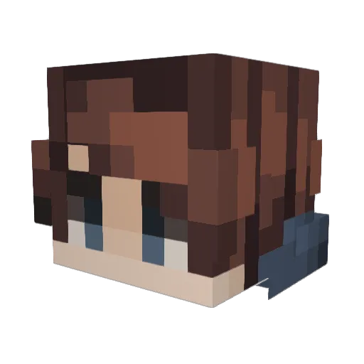 Tadashi65 Minecraft avatar head, 3D render