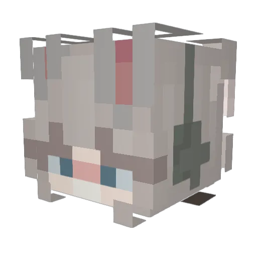 Tadc Minecraft avatar head, 3D render
