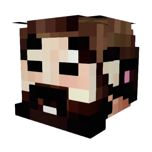 TadejTheCube461 Minecraft avatar head, 3D render