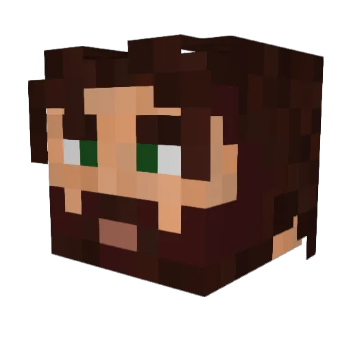 Tadej_ Minecraft avatar head, 3D render