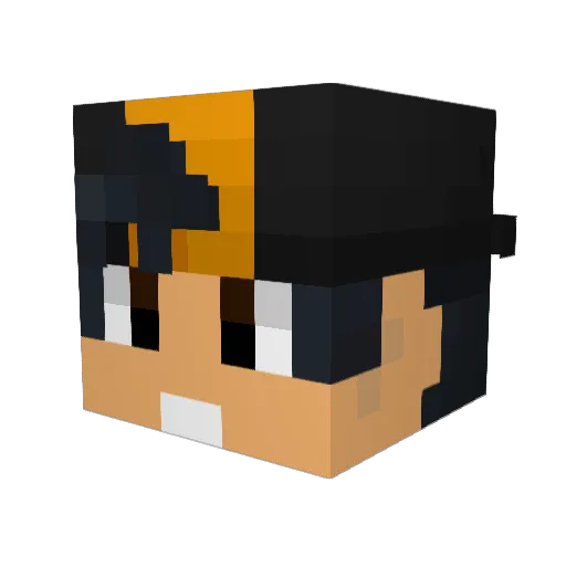 Tadeo1220 Minecraft avatar head, 3D render