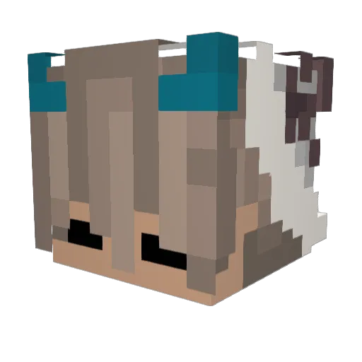 Tader3085 Minecraft avatar head, 3D render
