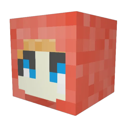 TaderFish2506 Minecraft avatar head, 3D render