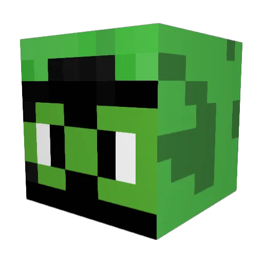 Tadger_100 Minecraft avatar head, 3D render