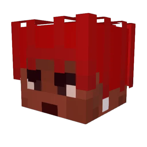Tadoo24 Minecraft avatar head, 3D render