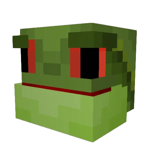 Tadpole2O Minecraft avatar head, 3D render