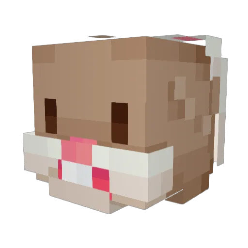Tadywho Minecraft avatar head, 3D render