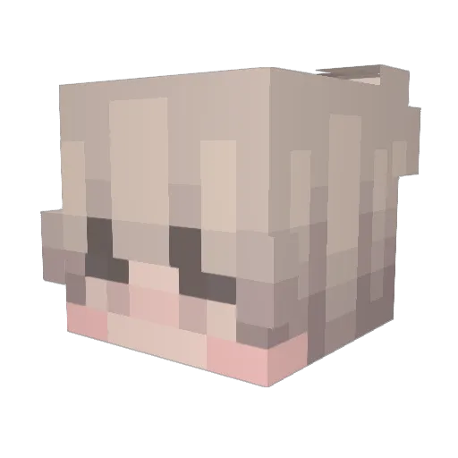 TaeJinTV Minecraft avatar head, 3D render