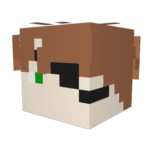 TaeJung111 Minecraft avatar head, 3D render