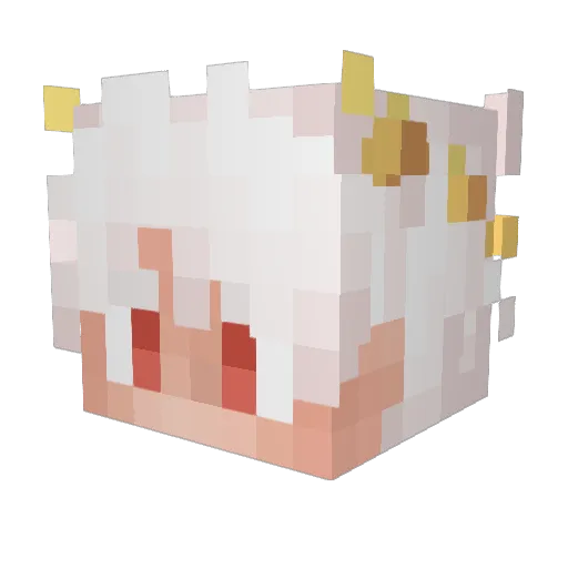 TaeSim Minecraft avatar head, 3D render