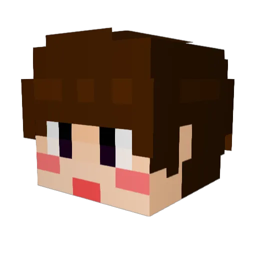 Tae_kwon Minecraft avatar head, 3D render