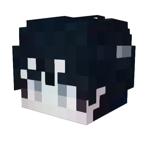 Taeha84 Minecraft avatar head, 3D render