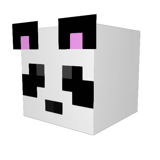 Taek_78 Minecraft avatar head, 3D render