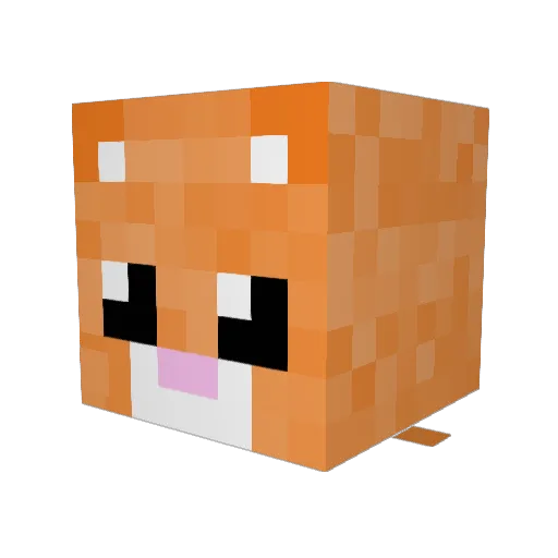 Taeke124 Minecraft avatar head, 3D render