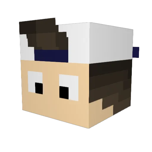 TaelYT Minecraft avatar head, 3D render