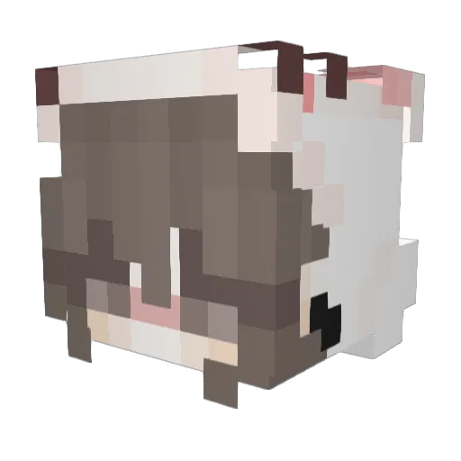 Taeliya Minecraft avatar head, 3D render