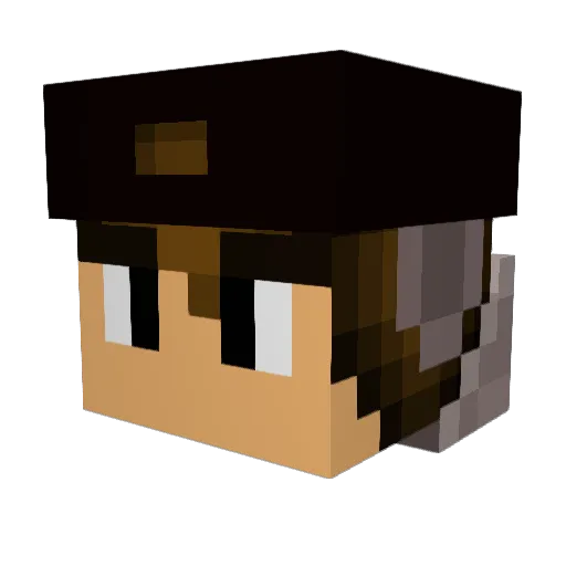 Taezered Minecraft avatar head, 3D render