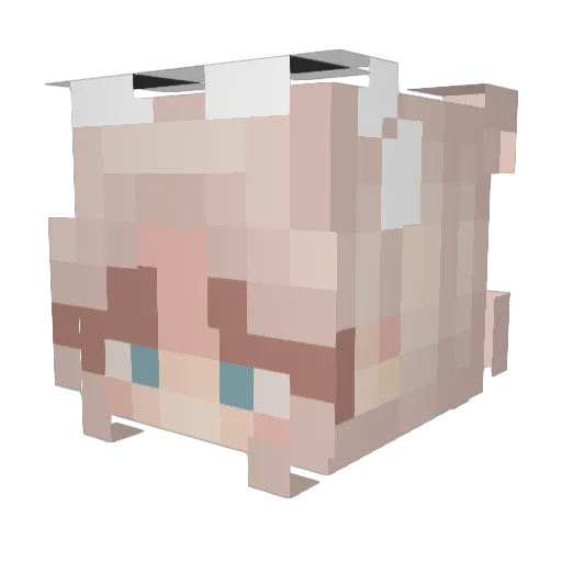Tafajery Minecraft avatar head, 3D render