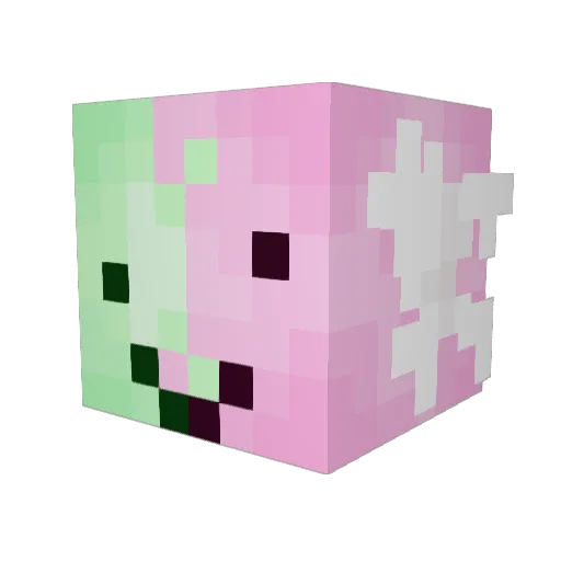 TaffleToT Minecraft avatar head, 3D render