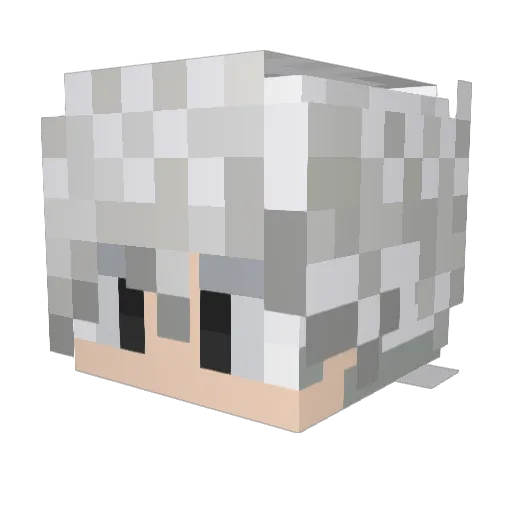 TaffsarN Minecraft avatar head, 3D render