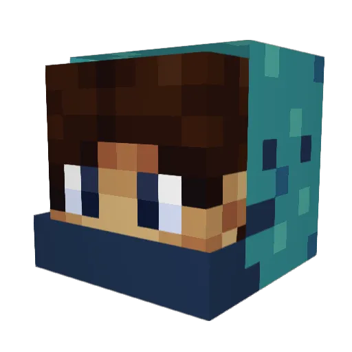 TagUnderOrigins Minecraft avatar head, 3D render