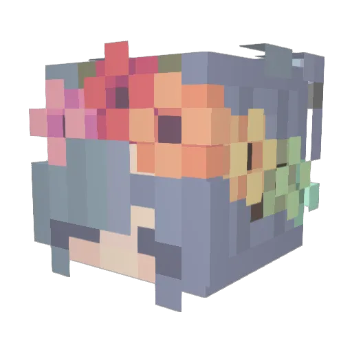 Tagadha Minecraft avatar head, 3D render
