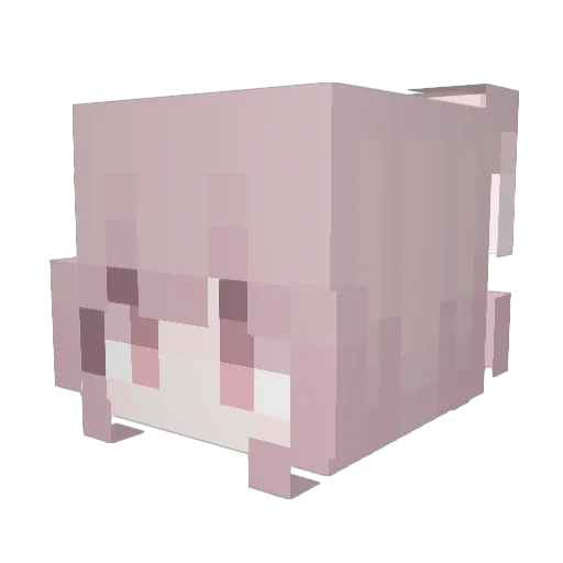 Tagcak Minecraft avatar head, 3D render
